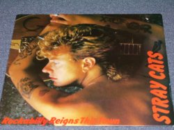 Photo1: STRAY CATS  ストレイ・キャッツ - ROCKABILLY REIGNES THIS TOWN  / COLLECTORS ( BOOT ) Used LP 