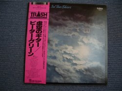 Photo1: PETER GREEN - IN THE SKIES  / 1979 JAPAN WHITE LABEL PROMO LP w/OBI 