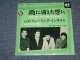 THE SEARCHERS - WHAT HAVE THEY  DONE TO THE RAIN / 1965 JAPAN ORIGINAL Used 7" Single
