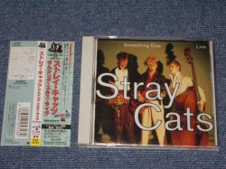 Photo1: STRAY CATS ストレイ・キャッツ  - SOMETHING ELSE LIVE  / 1994 JAPAN  ORIGINAL Used CD With OBI  