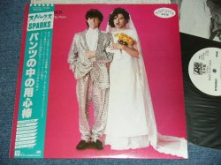 Photo1: SPARKS - ANGST IN MY PANTS / 1982 JAPAN ORIGINAL White Label PROMO MINT- LP With OBI 