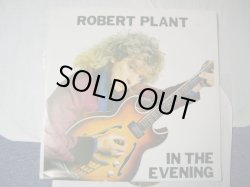 Photo1: ROBERT PLANT( LED ZEPPELIN )- IN THE EVENING ( 3 LPs)