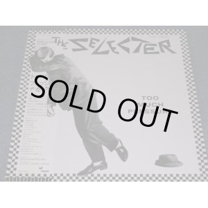 Photo: THE SELECTER - TOO MUCH PRESURE   / 1980 JAPAN ORIGINAL LP+Obi 