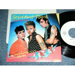 Photo: STRAY CATS  ストレイ・キャッツ - A)STRAY CAT STRUT  ストレイ・キャットすとらと     B)WHAT'S GOIN' DOWN  ごーいんDOWN TOWN / 1981Japan ORIGINAL White Label PROMO Used 7" Single With PICTURE SLEEVE 