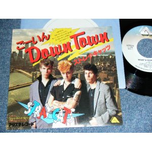 Photo: STRAY CATS  ストレイ・キャッツ - WHAT'S GOIN' DOWN / 1981 Japan ORIGINAL Used 7" Single With PICTURE SLEEVE 