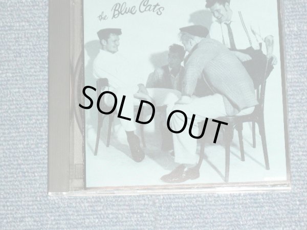 Photo1: The BLUE CATS - THE BLUE CATS   / 1993 JAPAN Original Used CD 