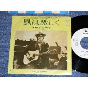 Photo: NEIL YOUNG ニール・ヤング -  FOUR STRONG WINDS 風は激しく ( Ex-/MINT- )   / 1979 JAPAN ORIGINAL "WHITE LABEL PROMO" Used 7" Single 