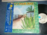 Photo: va OMNIBUS ( The WAILERS, JIMMY CLIFF, TOOTS & The MAYTALS, ZAP POW, The HEPTONES,OWEN GRAY, LORNA BENNETT, JOE HIGGS) - THIS IS REGGAE MUSIC VOL.1 ( Ex+/Ex+:STOL)  / 1976 JAPAN ORIGINAL "WHITE LABEL PROMO" Used LP  with OBI  