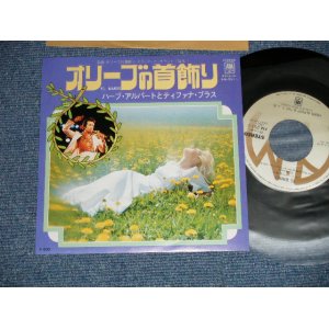 Photo: HERB ALPERT & THE T.J.B. - EL BIMBO(Cover Song of French song) - CATFISHＨ (MINT-/MINT- ) / 1975  JAPAN ORIGINAL  Used 7"45 Single