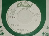 Photo: THE BEACH BOYS ビーチ・ボーイズ - WILD HONEY : WIND CHIMES  (no cover jacket/MINT)   / 1967 JAPAN ORIGINAL "WHITE LABEL TEST PRESS PROMO" Used 7" Single   