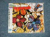 Photo: THE BEACH BOYS -  WILD HONEY  (Straight Reissue for Original Album )  (SEALED)  / 1997 JAPAN  ORIGINAL "BRAND NEW SEALED" CD with OBI