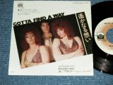 Photo: WILD HONEY - A )   GOTTA FIND A WAY  B ) EVERYBODY KNOWS  (MINT-/MINT- ) / 1974 Japan ORIGINAL Used 7"45 Single 