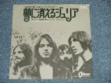 Photo: PINK FLOYD - A)JULIA DREAM  B) SUMMER '68 (Ex++/ no record)   / 1971 JAPAN ORIGINAL Used 7"SINGLE  Jacket only 