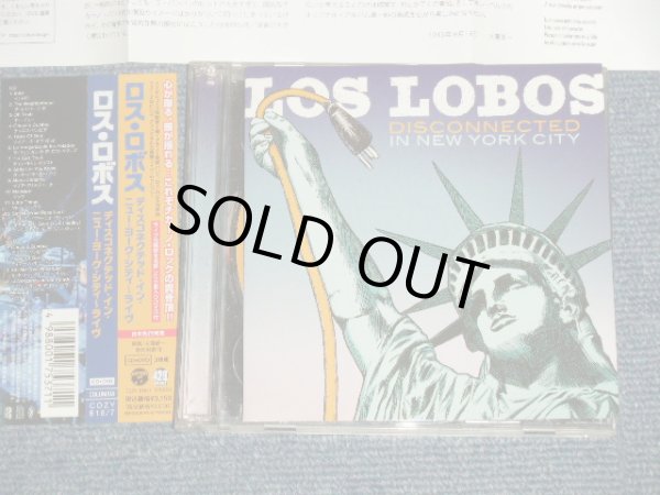 Photo1: LOS LOBOS ロス・ロボス - DISCONECTED IN NEW YORK CITY ディスコネクティッド・イン・NYシティ・ライヴ CD+DVD  (MINT/MINT) / 2013 JAPAN Used CD+ DVD with OBI