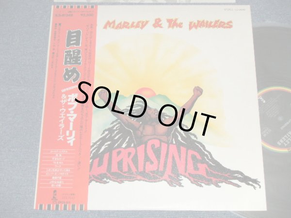 Photo1: BOB MARLEY & THE WAILERS ボブ・マーリィ - UPRISING 目醒め( MINT/MINT) / 1980 JAPAN ORIGINAL  Used LP with OBI  