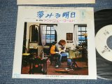 Photo: ANDREW GOLD アンドリュー・ゴールド -  A) STAY 夢みる明日  B) FIREFLYファイアフライ  ( Ex+/Ex+ SWOFC  )   / 1980 JAPAN ORIGINAL "WHITE LABEL PROMO" Used 7" Single 