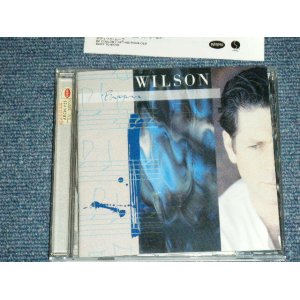 Photo: BRIAN WILSON - BRIAN WILSON DELUXE EDITION (MINT/MINT) / 2000 JAPAN ORIGINAL Used CD