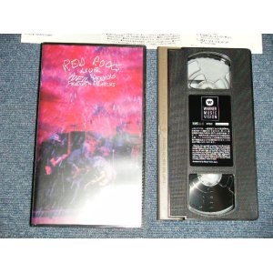 Photo: NEIL YOUNG ニール・ヤング - RED ROCKS LIVE ( MINT-/MINT)  / 2001 JAPAN ORIGINAL Used  VIDEO  [VHS]
