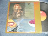 Photo: FREDDIE KING フレディ・キング - WOMAN ACROSS THE RIVER ウーマン・アクロス・ザ・リヴァー (Ex++/MINT-) / 1979 JAPAN ORIGINAL Used LP 