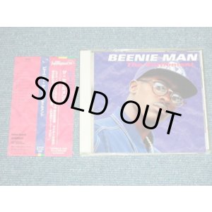 Photo: BEENIE MAN ビーニー・マン - THE SETTLEMENT (MINT-/MINT) / 1994 JAPAN ORIGINAL Used CD with OBI