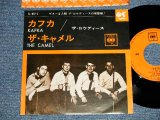 Photo: THE ROWDIES ザ・ロウディース - A) KAFKA カフカ  B) THE CAMEL ザ・キャメル (Ex++/MINT-) / 1964 JAPAN ORIGINAL Used 7"Single 