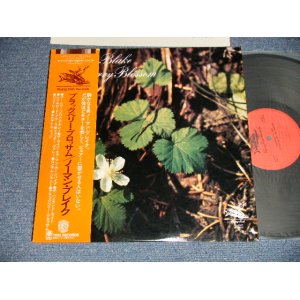 Photo: NORMAN BLAKE ノーマン・ブレイク (COUNTRY/BLUEGRASS GUITARIST)  - BLACKBERRY BLOSSOM ブラックベリー・ブロッサム (Ex+++/MINT-) / 1977 JAPAN ORIGINAL Used LP with OBI 