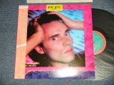 Photo: YVES SIMON イヴ・シモン - L'Autre Côté Du Monde アビシニア夢浪漫 (MINT-/MINT) / 1986 JAPAN ORIGINAL Used LP with OBI 