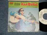 Photo: JOSE FELICIANO  ホセ・フェリシアーノ - A) I WANT TO LEARN A LOVE SONG 旅人よ、愛を歌って B) FIND SOMEBODY 誰かをさがそう (Ex++/MINT-) / 1974 JAPAN ORIGINAL "WHITE LABEL PROMO" Used 7" 45's Single  