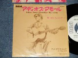 Photo: JOSE FELICIANO  ホセ・フェリシアーノ - A) ADIOS AMOR アディオス・アモール　B) AT DAYS END アット・デイズ・エンド (Ex+/Ex+++, Ex+) / 1969 JAPAN ORIGINAL "WHITE LABEL PROMO" Used 7" 45's Single  