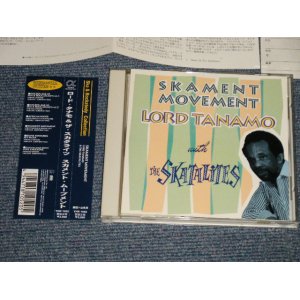 Photo: Lord Tanamo With Skatalites ロード・タナモ & ザ・スカタライツ - Skament Movement スカメント・ムーブメント (MINT-/MINT) / 1992 JAPAN ORIGINAL Used CD with OBI