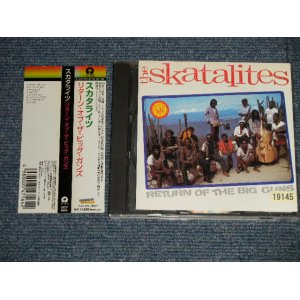 Photo: SKATALITES スカタライツ - RETURN OF THE BIG GUNS (MINT-/MINT RENTAL SEAL ON) / 2007 JAPAN  Used CD  with OBI 