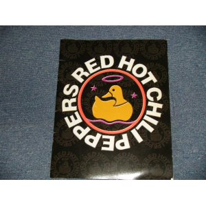 Photo: RED HOT CHILI PEPPERS -  JAPAN TOUR BOOK (Ex) / JAPAN ORIGINAL TOUR BOOK 