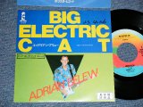 Photo: ADRIAN BELEW  エイドリアン・ブリュー - A) BIG ELECTRIC CAT  B) THE FINAL RHINO (Ex+/MINT- STOFC, WOFC,PROMO STAMP OL) / 1982 JAPAN ORIGINAL "PROMO" Used 7"45 rpm Single 