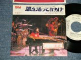 Photo: GUESS WHO ゲス・フー - A) FOLLOWUP YOUR DAUGHTER HOME 娘を送っておあげ  B) BYE BYE BABE (Ex+/Ex+++ STOFC) / 1973 JAPAN ORIGINAL "WHITE LABEL PROMO" Used 7" 45rpm Single 