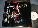 Photo: CHERRY VANILLA チェリー・バニラ - VENUS d' VINYL クィーン・オブ・パンクス (MINT-/MINT-)  / 1979 JAPAN ORIGINAL "WHITE LABEL PROMO" Used LP with OBI 