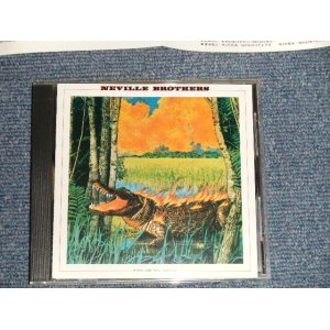 Photo: NEVILLE BROTHERS ネヴィル・ブラザーズ - FIRE ON THE BAYOU (MINT-/MINT)/1987 JAPAN ORIGINAL Used CD