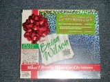 Photo: BRIAN WILSON ブライアン・ウイルソン - WHAT I REALLI WANT FOR CHRISTMAS (SEALED) / 2005 IMPORT + JAPAN ORIGINAL 輸入盤国内仕様 "Brand New Sealed"  CD