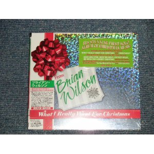 Photo: BRIAN WILSON ブライアン・ウイルソン - WHAT I REALLI WANT FOR CHRISTMAS (SEALED) / 2005 IMPORT + JAPAN ORIGINAL 輸入盤国内仕様 "Brand New Sealed"  CD
