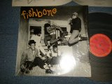 Photo: FISHBONE フィッシュボーン - FISHBONE  (MINT/MINT-) / 1985 JAPAN ORIGINAL Used LP 