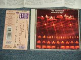 Photo: THE PENTANGLE ペンタングル - BASKET OF LIGHT バスケット・オブ・ライト(MINT/MINT) / 1995 IMPORT + JAPAN 輸入盤国内仕様 Used CD  with OBI
