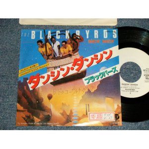 Photo: The BLACKBIRDS ブラックバーズ - A)DANCIN' DANCIN' ダンシン  B)DO YOU WANNA DANCE?ダンシンドゥー・ユー・ウォナ・ダンス (Ex++/\MINT- STOFC, WOL) / 1981 JAPAN ORIGINAL "WHITE LABEL PROMO" Used 7" Single 
