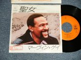 Photo: MARVIN GAYE マービン・マーヴィン・ゲイ - A)聖女	Sanctified Lady  B)聖女 Sanctified Lady (Instrumental) (Ex++/Ex++ STOFC) / 1985 JAPAN ORIGINAL Used 7" SINGLE 