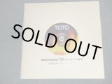 Photo: TOTO - REUNION '99 CONCERT  : JAPAN TOUR 1999    (MINT-) / 1999 JAPAN ORIGINAL TOUR BOOK 