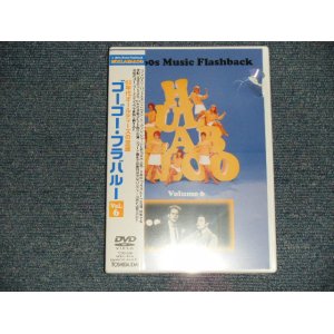 Photo: V.A. Various - ゴーゴー・フラバルー vol.6 GO GO HULLABALOO  VOL.6 (SEALED BROKEN) / 2003 JAPAN ORIGINAL "BRAND NEW SEALED" DVD