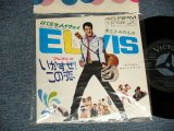 Photo: ELVIS PRESLEY エルヴィス・プレスリー - 映画「TIKLE ME いかすぜこの恋」A)LONG LONELY HIGHWAY はてなきハイウエイ  B)I'M YOURS僕は君のもの (MINT-/MNT-) / 1965 JAPAN ORIGINAL "1st ISSUED Version" used 7" 45 rpm Single 