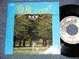 Photo: CAMEO カメオ - A)I NEVER KNEW 夏風のエロス  B)USE IT OR LOSE IT (Ex++/MINT-, Ex++) / 1981 JAPAN ORIGINAL "WHITE LABEL PROMO" Used 7" 45 rpm Single