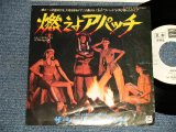 Photo: THE SEEBACH BAND ザ・シーバック・バンド - A)APACHE 燃えよアパッチ  B)BUBBLE SEX バブル・セックス (Ex++/Ex+++) /1977 JAPAN ORIGINAL "WHITE LABEL PROMO" Used 7" 45rpm Single 