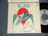 Photo: EAGLES イーグルス - A)ALREADY GONE 誓いの青空    B)IS IT TRUE? (Ex/Ex STOFC, CLOUD) / 1974 JAPAN ORIGINAL "STOCK COPY" Used 7"45 rpm SINGLE 