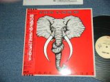 Photo: JON LORD ジョン・ロード - BEFORE I FORGET 時の過ぎゆくままに (MINT-/MINT-)  / 1975 JAPAN ORIGINAL Used LP With OBI