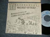 Photo: REO SPEEDWAGON  REO スピード・ワゴン - A)愛は気ままに I Do'wANNA KNOW (Ex++/Ex+++ Visual Grade) /1984 JAPAN ORIGINAL "PROMO ONLY" "ONE SIDED" Used 7" Single 